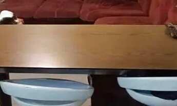 Imagem 5: Apartamento com 2 dormitórios à venda, 81 m² por R$ 280.000 - Vila Assis Brasil - Mauá/SP