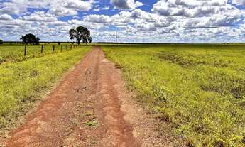 Imagem 7: Fazenda em Novo Acordo/Rio Sono