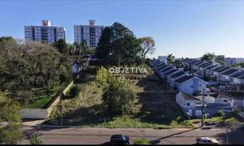 Imagem 5: Ótimo Terreno com Projeto para Casas, Bairro Rondônia, NH