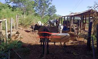 Imagem 5: Fazenda para Venda - 15 hectares - Desembargador Otoni, Diamantina/MG