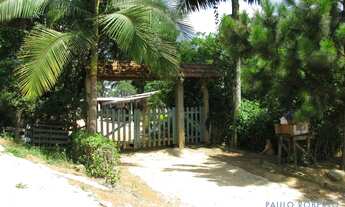 Imagem 5: AREA - LARANJA AZEDA - SP