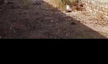 Imagem 3: Casa na Santa Maria das Vassouras