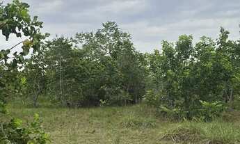 Imagem 2: Fazenda Em Couto Nagalhães