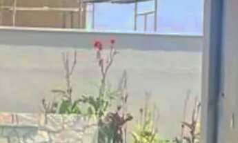 Imagem 5: CASA RESIDENCIAL em PAÇO DO LUMIAR - MA, BAIRRO ARAÇAGY