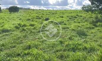 Imagem 6: Fazenda a 5 km de Ivolândia-GO 23 Alqueires prontos para produçã codigo: 133774
