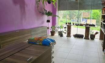 Imagem 4: Vende-se sobrado comercial e residencial 248m² de área averbada