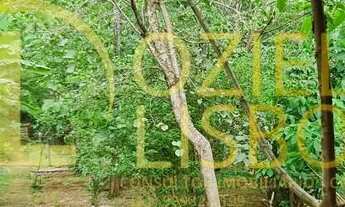 Imagem 6: CHÁCARA 25 HECTARES 25.000 ESCRITURADA 2 CASAS SEDE PISCINA CHURRASQUEIRA DF 180 PLANA 9