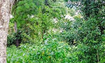 Imagem 7: Terreno no Centro de Nova Santa Rita com matricula e 360m²