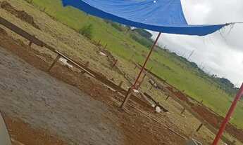 Imagem 4: Lote no recanto das emas