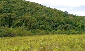 Imagem 2: Imóvel para venda tem 500 metros quadrados em Ressaca - Ibiúna - SP