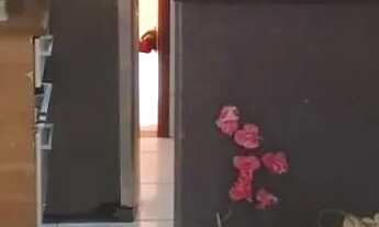 Imagem 3: Maravilhosa Casa, em excelente localização