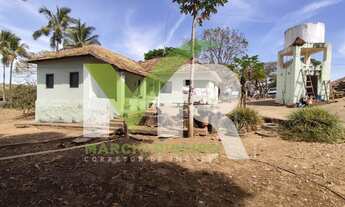 Imagem 5: Fazenda 60 Alqueires em Ipameri Go