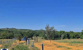 Imagem 6: Fazenda à Venda em Bom Jardim de Goiás 75 Alqueires