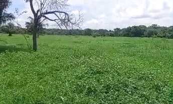 Imagem 7: Fazenda de 110 alqueres, no município de Jussara no estado de Goiás