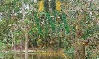 Imagem 7: Lindo Terreno no condomínio Vale do Lago