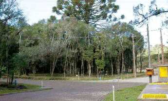 Imagem: Lote em condomínio em Jose Pedro Piva