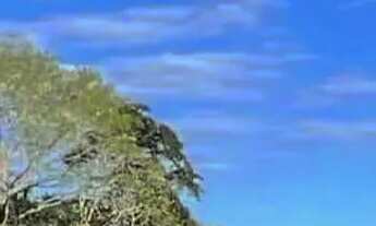 Imagem 7: Fazenda para venda, Zona Rural, Rosário Oeste