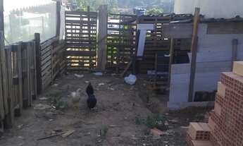 Imagem: Vendo terreno 150 mil não baixo um real