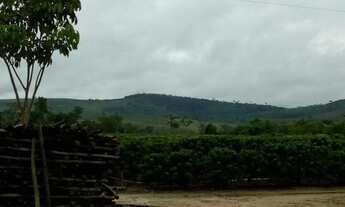 Imagem 2: Vendo fazenda entre são mateus e água limpa