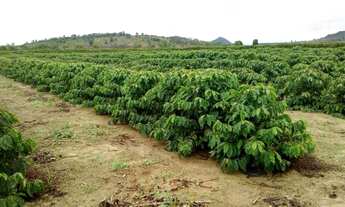 Imagem 4: Vendo fazenda entre são mateus e água limpa