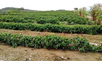 Imagem 3: Vendo fazenda entre são mateus e água limpa