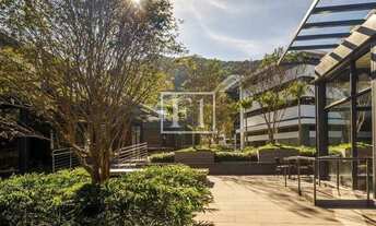 Imagem 7: FLORIANóPOLIS - Conjunto Comercial/Sala - Saco Grande