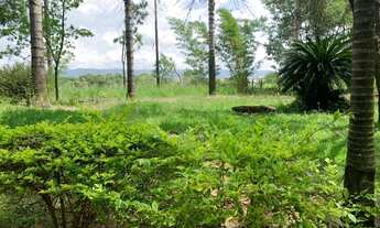 Imagem 6: Terreno- Genebra