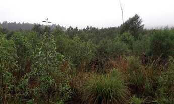 Imagem 2: Fazenda no PR Fazenda / sítio com venda por R$2.000.000