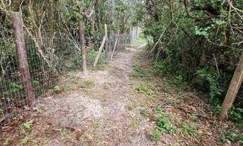 Imagem 4: Terreno à venda, 1800 m² por R$ 800.000,00 - Macacú - Garopaba/SC