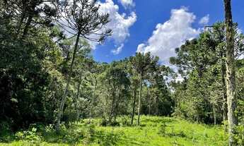 Imagem 3: Chácara em Urubici