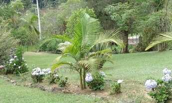 Imagem 6: Chacrona com piscina 249 mil reais