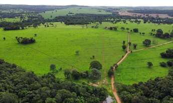 Imagem: Fazenda 75 alqueires (313 ha) - Pirenópolis