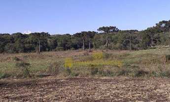 Imagem 7: Sítio à venda, 70020 m² por R$ 799.900,00 - Serra Grande - Gramado/RS