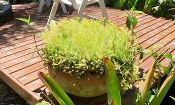 Imagem 4: Casa de condomínio sobrado para aluguel possui 25 metros quadrados com 1 quarto