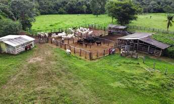 Imagem 2: Fazenda 75 alqueires (313 ha) - Pirenópolis / GO