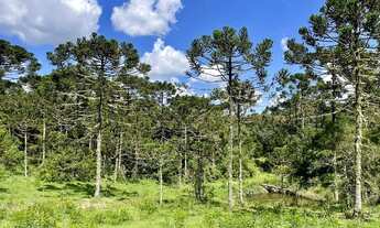 Imagem 5: Chácara em Urubici
