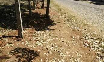 Imagem: IMPERATRIZ - MATEUS LEME/MG