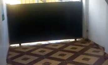 Imagem 6: Aluga-se apartamento