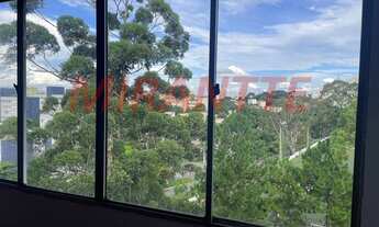 Imagem 6: Lindo apartamento em Barro Branco