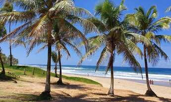 Imagem 2: Salvador - Casa de Vila - Stella Maris