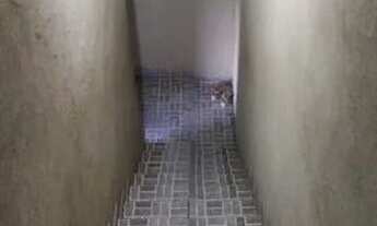 Imagem 3: Casa a venda! Casa com 2 dormitórios