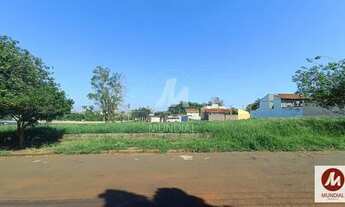 Imagem 2: Terreno (terreno normal