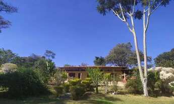 Imagem 6: Sítio Zona Rural de Nova Veneza-GO. Área1,29 Alqueires