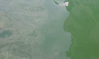 Imagem: Manutenção de piscina e limpeza