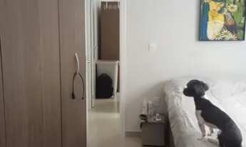 Imagem 3: Apartamento para venda tem 60 metros quadrados com 2 quartos