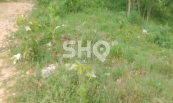 Imagem 4: TERRENO 110 MIL M² - COLONIA (ZONA LESTE