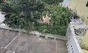 Imagem 2: EDF. CORÇARIO Apartamento com 3 dormitórios