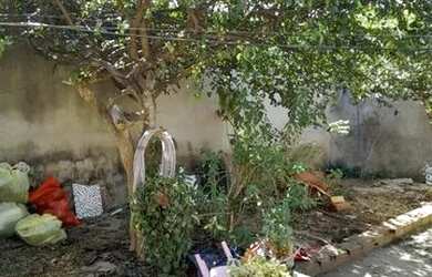 Imagem 4: Ágio de casa em Águas Lindas