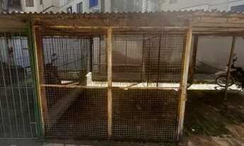 Imagem 6: Aluguel Apartamento com 2 dormitórios