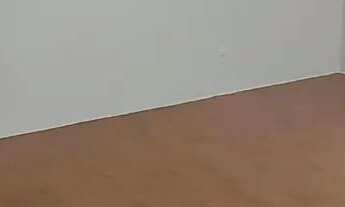 Imagem 7: Alugo apartamento ou casa superior